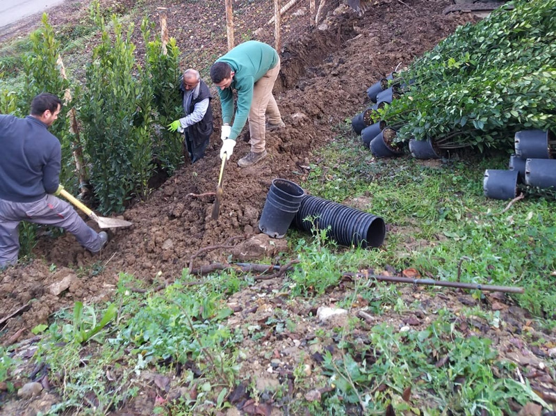 giardinaggio, taglio erba e sterpatura